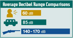 Average Decibel Range Comparisons. Conversation 60 dB, traffic 80 dB, firearms 140-170 dB