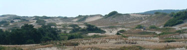 Province Lands dunes