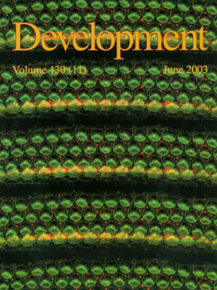 Cover of Developement journal, Volume 130 (11), June 2003