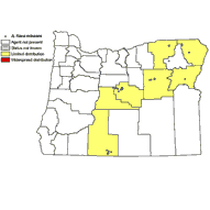 distribution map