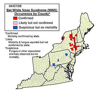 Bat white-nose syndrome occurrence by county in Pennsylvania, New York, Vermont, Massachusetts, and Connecticut