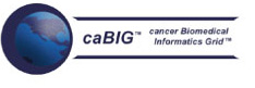 caBig Cancer Biomedical Informatics Grid