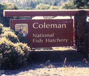Coleman National Fish Hatchery