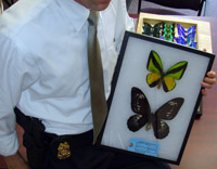 SA Ed Newcomer with seized butterfly mounts