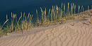 Dune grass thrives on the Grand Sable Dunes near Grand Marais, Michigan, in Pictured Rocks National Lakeshore.