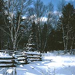 A blanket of snow covers a field near the Munising cross-country ski trails.