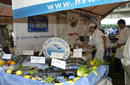 Sea food vendors serve up food 