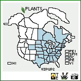 Distribution of Viola pubescens Aiton var. pubescens. . Image Available. 