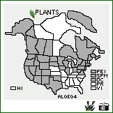 Distribution of Alopecurus geniculatus L. var. geniculatus. . Image Available. 