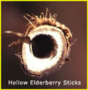 hollow elderberry stick.