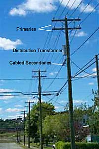 Figure 1. Cabled secondaries