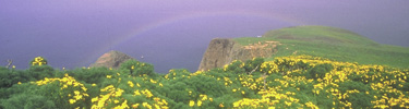 rainbow over arch point, santa barbara island timhaufphotography.com
