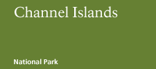 Channel Islands National Park