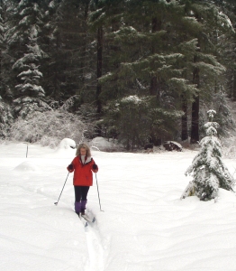 [Photograph] Cross country skiing on the Big Tree Loop - December 2003