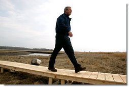 Commemorating Earth Day, President George W. Bush visits the Wells National Estuarine Research Reserve in Wells, Maine, Thursday, April 22, 2004. During his visit, President Bush announced a program to increase the amount of wetlands in the United States. "To do so, we will work to restore and to improve and to protect at least three million acres of wetlands over the next five years," said the President.  White House photo by Eric Draper