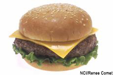 Fotografía de una hamburguesa con queso