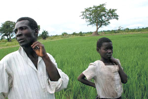 Photo: A 32-year-old father of five, Majidu stands in his upland rice field with his daughter, talking about how he went from digging latrines to commercial farming in just a few years with USAID assistance.