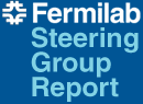 Fermilab Steering Group Report