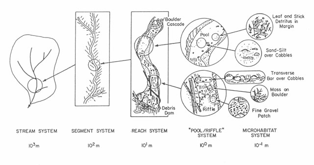 Image showing stream habitat subsystems