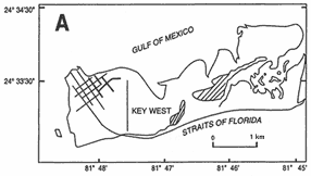 map showing Key West in 1850