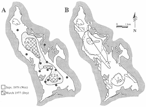 maps showing seasonal variation in freshwater lens at Big Pine Key