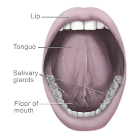This picture shows the area under the tongue.
