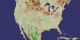 North America NDVI 1988 August Anomaly