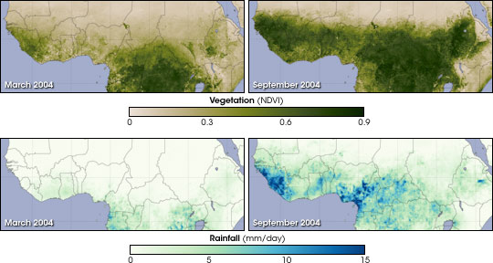 Vegetation and Rainfall in the Sahel