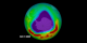 This animation zooms down to Antarctica and shows the daily ozone readings from July 1, 2005 to October 25,2005.