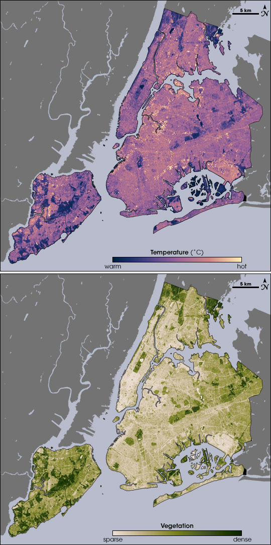 New York City Temperature and Vegetation