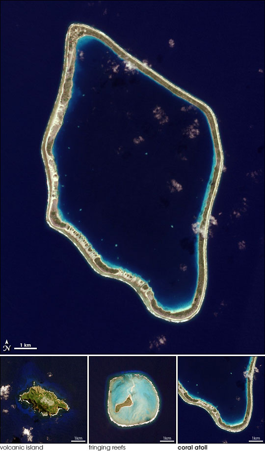 Island Evolution, Part 3: Tureia Atoll