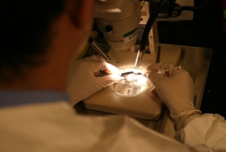 Scientist's gloved hands working under microscope