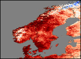 Heat Wave in Northern Europe