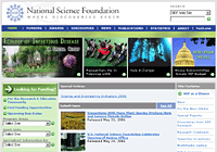 Screen Capture of NSF Site