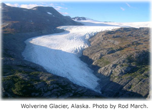 Picture of Wolverine Glacier in Alaska. 