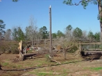 Jones County, MS, Downburst Damage