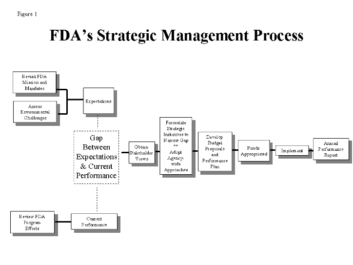 Figure 1:Strategic Management Process