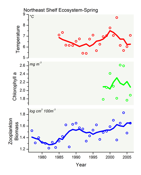 Temp graph