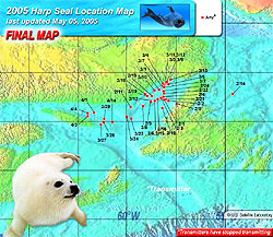 A large map with a harp seal pictured on top