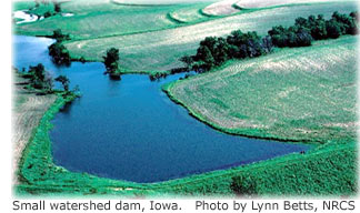 Picture showing a small dam in the Iowa farmland that creates a small waterhsed pond. 