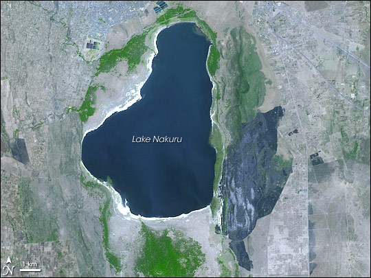Fire Damages Kenya's Lake Nakuru National Park