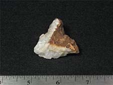A triangular-shaped, bumpy white and brown rock that is almost 2 inches wide