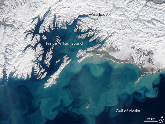 Swirling Sediment in Gulf of Alaska