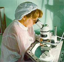 Marilyn Lindstrom studying a piece of meteorite