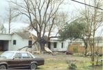 Tree and roof damage