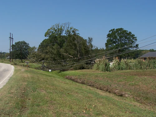 Picture of power lines down.