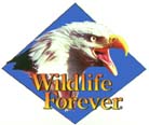 Wildlife Forever