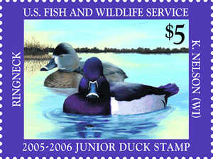 (2005-2006) Junior Duck Stamp