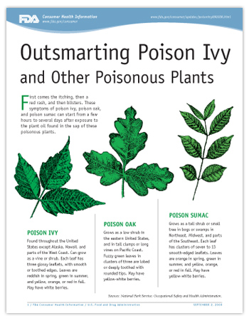 Cover page of PDF version of this article, including illustrations of poison ivy, poison oak, and poison sumac.