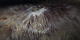 Mount Kilimanjaro, with a small ice cap, on February 21, 2000.